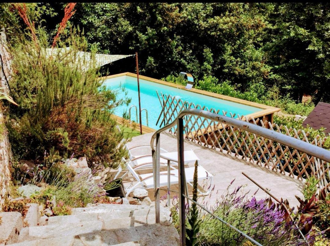 Gîte casa di l'Apa Venaco  Extérieur photo